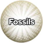 Fossils!