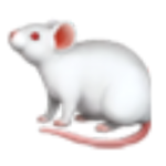 • mouse •