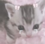 *~vxsp~*