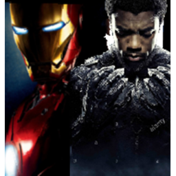 A memorial for black panther/iron man