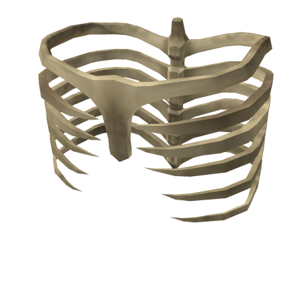 Ribcage Exo Skeleton