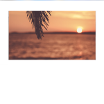 +* Sunset Dance Company *+