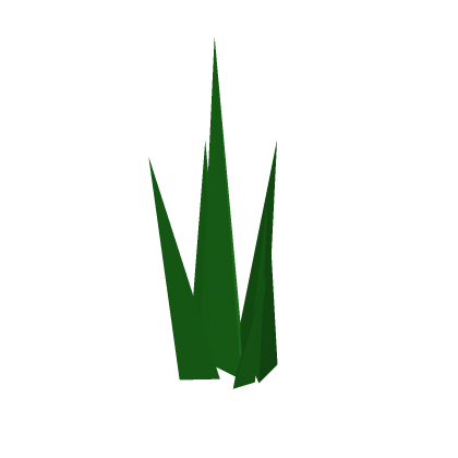Grass