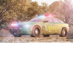 Emergency Response Liberty County Roleplay Server