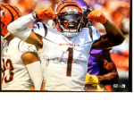 Cin bengals fan hangout
