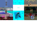 Dolphin Gymnastics
