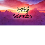 Wild Wonder Studios
