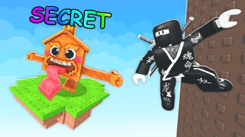 Become A Ninja For Brainrots!