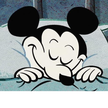 The Perfect Dream Mickey Mouse