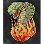 Hissing Flames