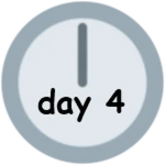 Day 4