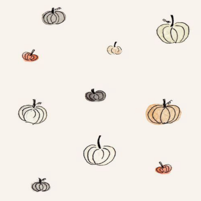 !!AUTUMN!! Pumpkin pattern with white background Roblox decal
