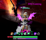 Team SS Gaming