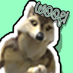 THE WOOF CREW!