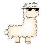 Little Baddie Llama’s