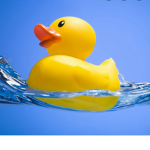 Ducky group -3-