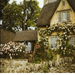 CottageCore group<3<3<3<3