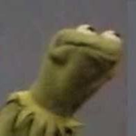 Frog is pog