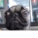 MatiasGamerUwU