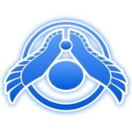 Asari Republics Military | Serrice Guard