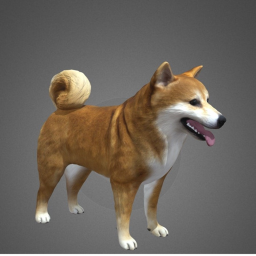 doge gang HQ
