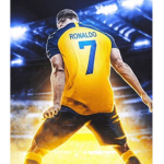 Ronaldo Fans SUIIIl