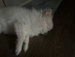 이름 없어요
