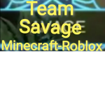 Team Savage Minecraft-Roblox