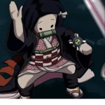 Nezuko Followers