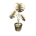 Gold Monstera House Plant