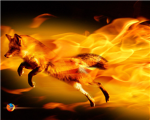 Team Firefox