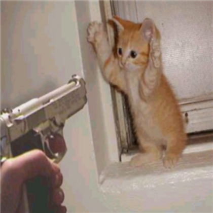 kitty cat get owend by gun Roblox decal