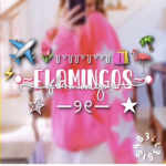 •~flamingos~•