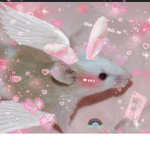 ᴀɴɪᴍᴇ ʙᴜɴɴʏs!!!