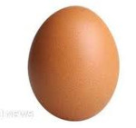A really cool group with eggs