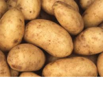 Potato Plant Club