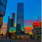TheBloxburgBuilders