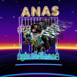 ANAS GROUP CITY