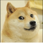 Doge thieves
