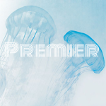 Premier Academy