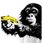 Monke Group and Banana