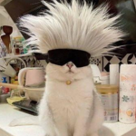 •SWAG KING•