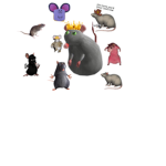 King Bug’s group