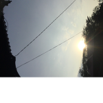 Sunny at kampung