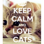 Kitty Cats of the Nation