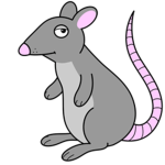 SPECIAL RATS COMMUNITY