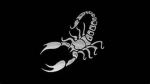 Shadow 27 Clan