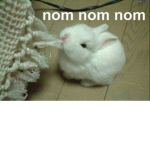 SAVE THEM BUNNIES