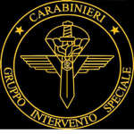 Gruppo intervento speciale di brookhaven gis