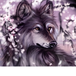 ~Blossom’s Wolf Pack~